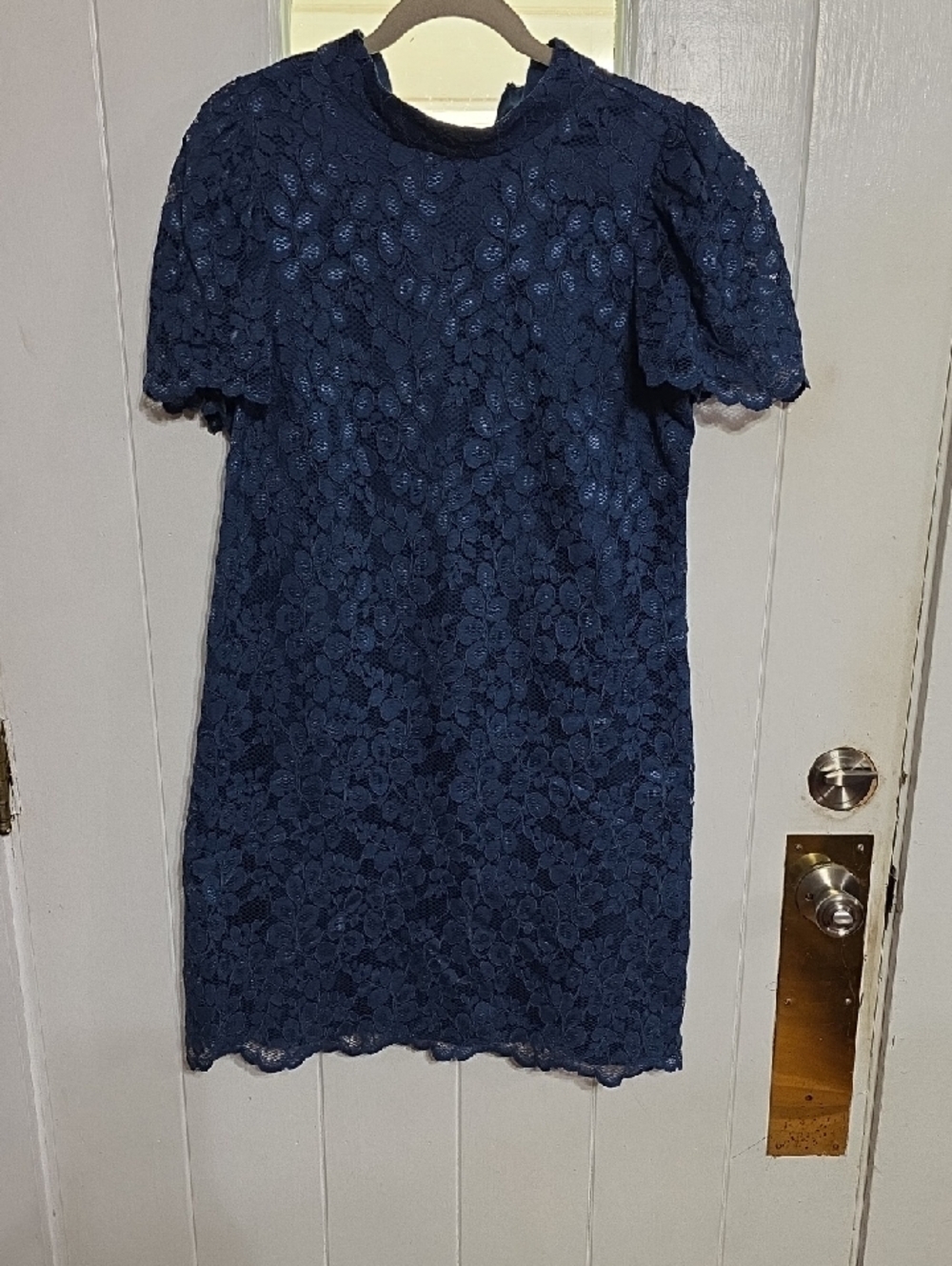 Eliza J Women's Dress Dark Blueish Teal Lacy Scallop Bell Sleeves Zips Sz 14 EUC